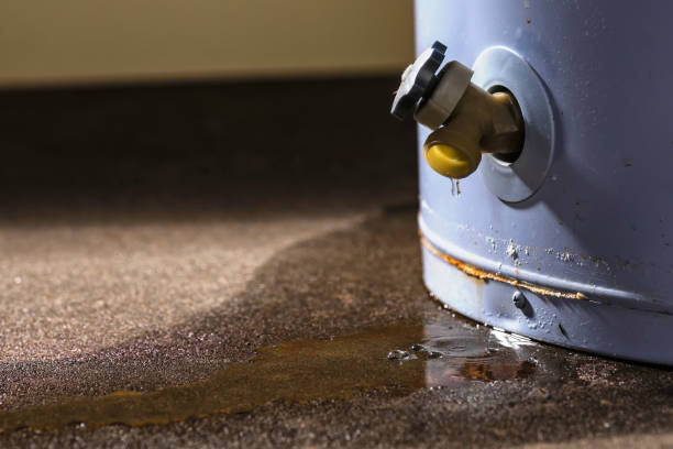 Best Basement water damage restoration  in Shavertown, PA