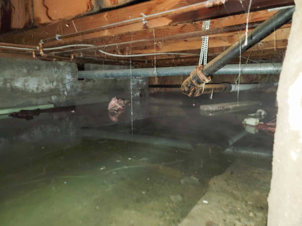 Best Emergency water damage restoration  in Shavertown, PA