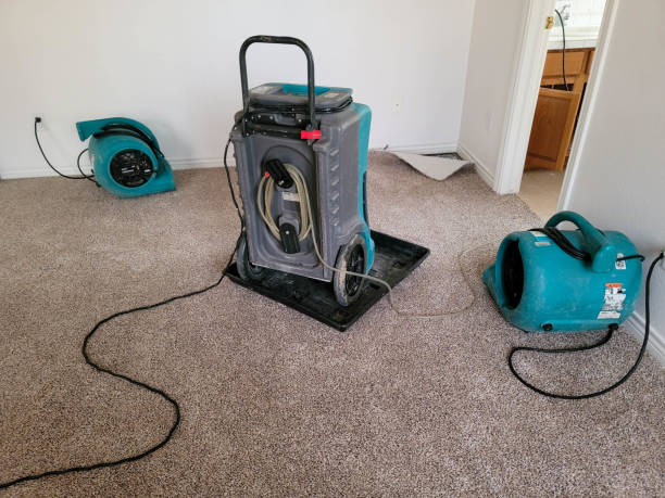  Shavertown, PA Water damage restoration Pros