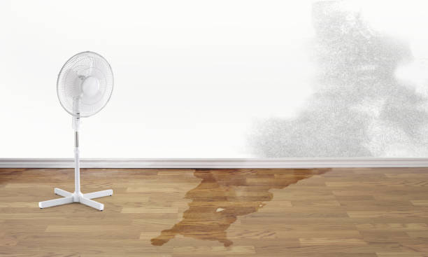 Water damage restoration insurance claims in Shavertown, PA