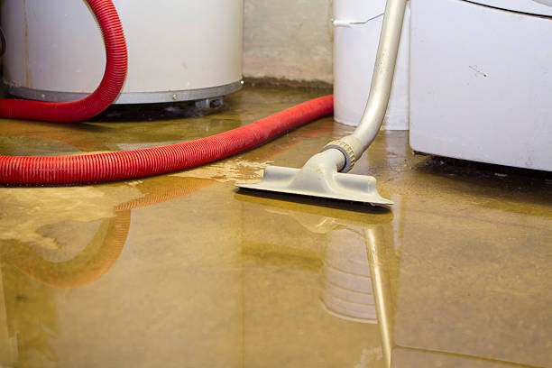  Shavertown, PA Water damage restoration Pros
