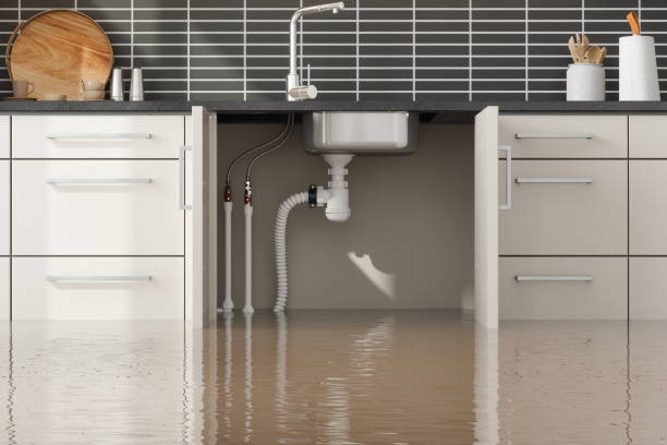 Best Flooded house restoration  in Shavertown, PA