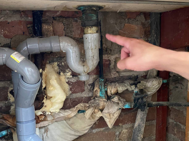 Best Water damage contractors near me  in Shavertown, PA