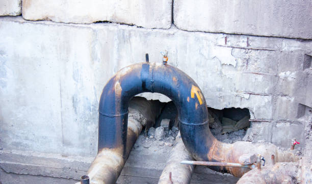 Best Professional water damage repair  in Shavertown, PA