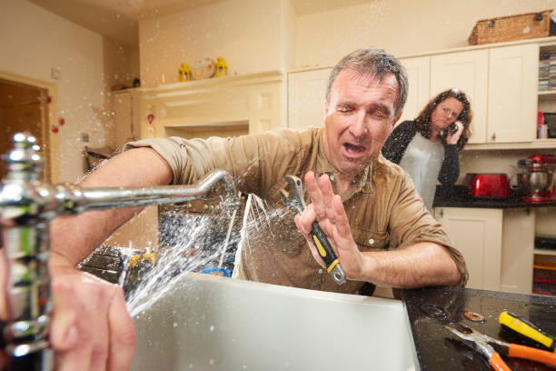 Best Mold removal after water damage  in Shavertown, PA